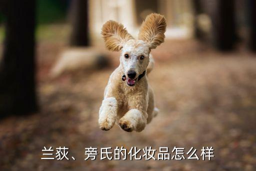 兰荻的护肤品怎么样,男性护肤品怎么选择?看看这里!