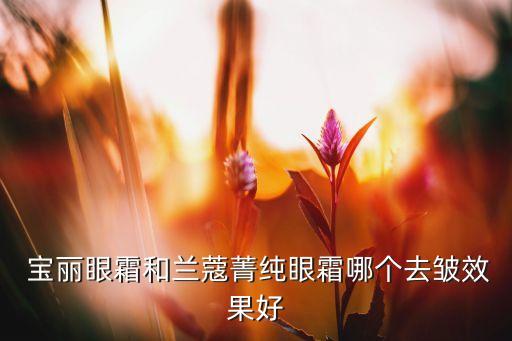  宝丽眼霜和兰蔻菁纯眼霜哪个去皱效果好