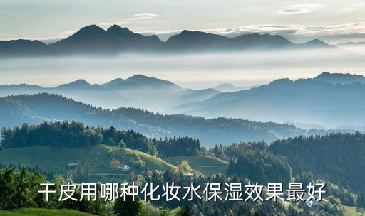 干皮用哪种化妆水保湿效果最好