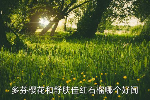 多芬樱花和舒肤佳红石榴哪个好闻