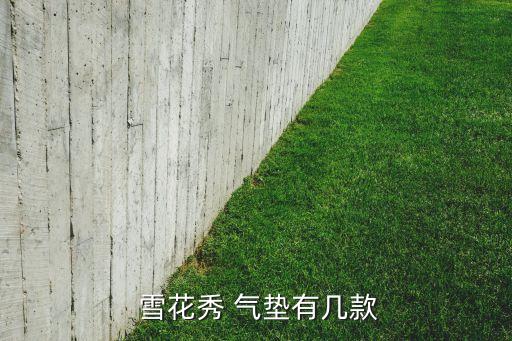  雪花秀 气垫有几款