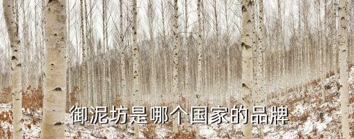  御泥坊是哪个国家的品牌