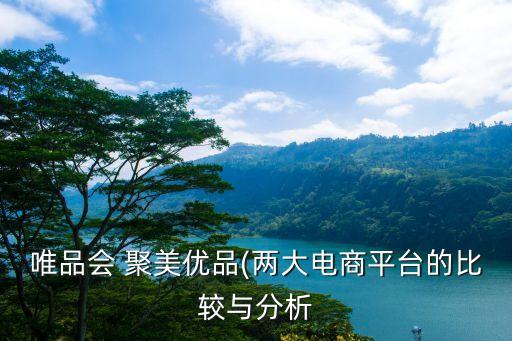 唯品会 聚美优品(两大电商平台的比较与分析