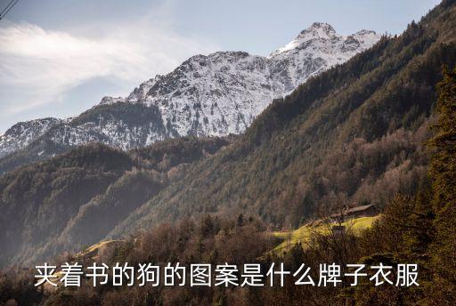 夹着书的狗的图案是什么牌子衣服