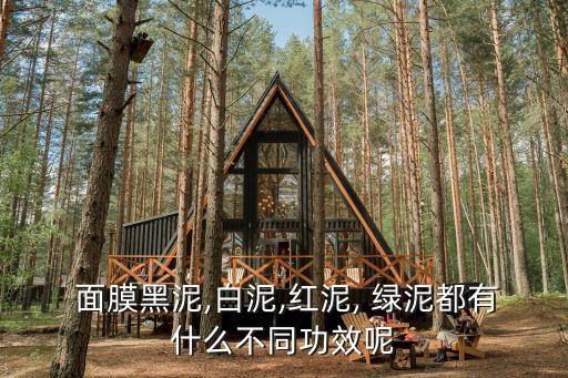  面膜黑泥,白泥,红泥, 绿泥都有什么不同功效呢