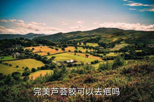 有什么化妆品可以祛疤痕,有什么化妆品可以祛痘？