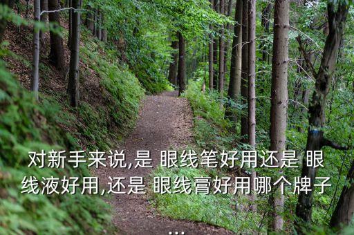 对新手来说,是 眼线笔好用还是 眼线液好用,还是 眼线膏好用哪个牌子...