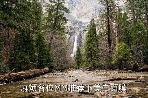 麻烦各位MM推荐下美白面膜
