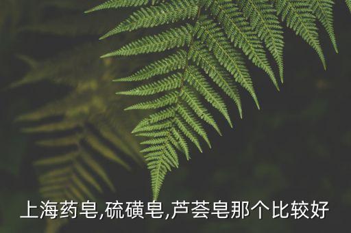 上海芦荟皂有什么用处,上海硫磺皂和芦荟皂哪个好?
