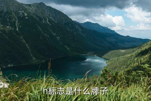 h标志是什么牌子