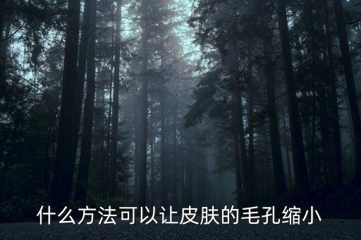 什么方法可以让皮肤的毛孔缩小