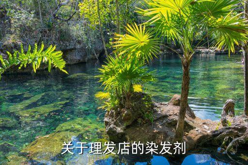 关于理发店的染发剂