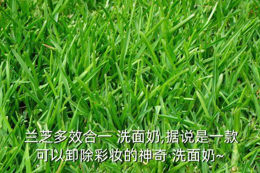  兰芝多效合一 洗面奶,据说是一款可以卸除彩妆的神奇 洗面奶~