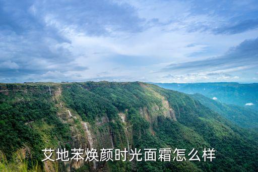 艾地苯焕颜时光面霜怎么样