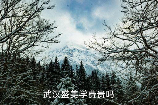 武汉盛美学费贵吗
