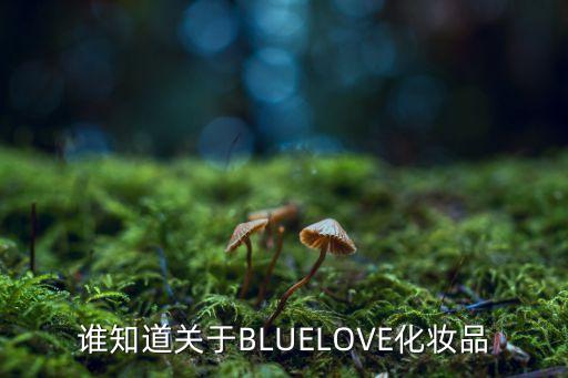 谁知道关于BLUELOVE化妆品