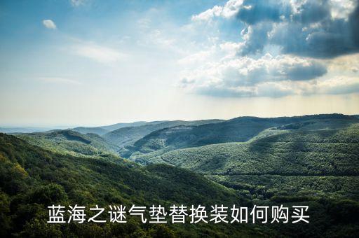 雅诗之谜气垫多少钱,海南神秘气垫多少钱？