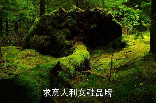 求意大利女鞋品牌