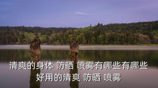 清爽的身体 防晒 喷雾有哪些有哪些好用的清爽 防晒 喷雾