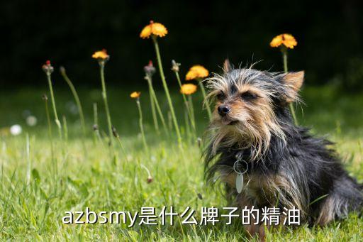 azbsmy是什么牌子的精油