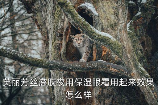 芙央眼霜怎么样,怎么样使用芙蓉芳丝眼霜效果好?