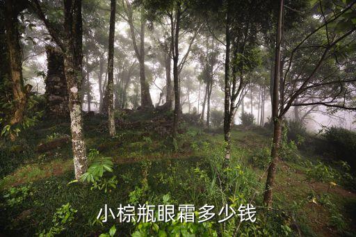 小棕瓶眼霜多少钱