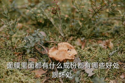 心维雅面膜含什么成分