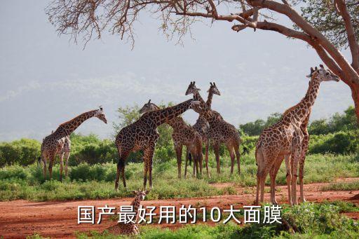 国产最好用的10大面膜