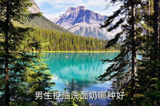 男生控油洗面奶哪种好