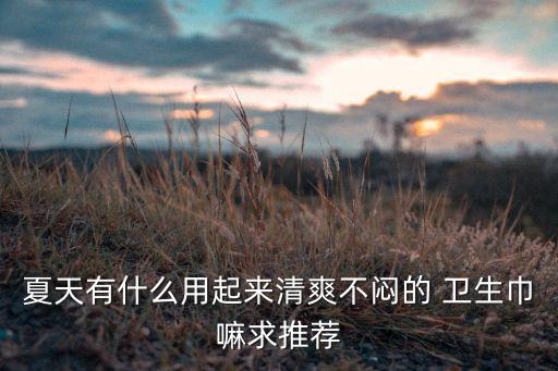 夏天有什么用起来清爽不闷的 卫生巾嘛求推荐