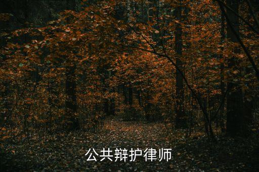 公共辩护律师