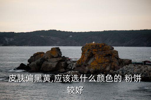 皮肤偏黑黄,应该选什么颜色的 粉饼较好