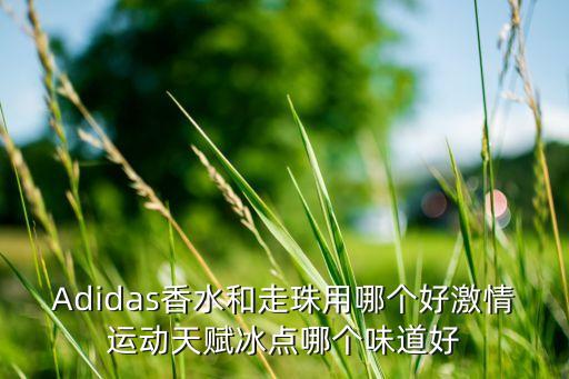 Adidas香水和走珠用哪个好激情运动天赋冰点哪个味道好
