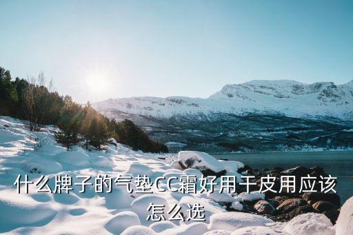 什么牌子的气垫CC霜好用干皮用应该怎么选