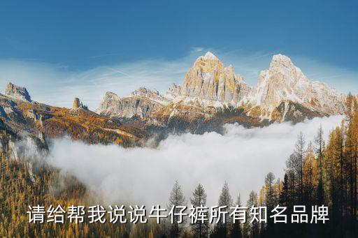 请给帮我说说牛仔裤所有知名品牌