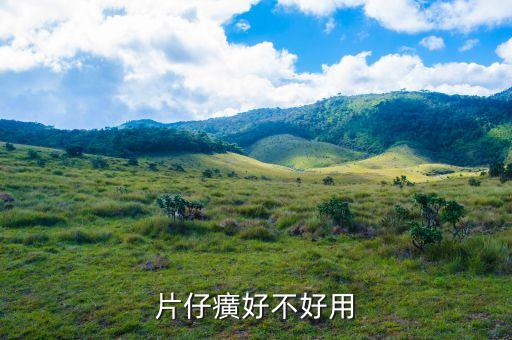 片仔癀好不好用