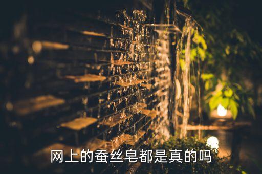 网上的蚕丝皂都是真的吗