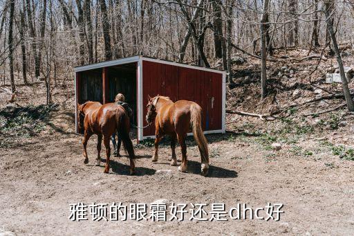 雅顿的眼霜好还是dhc好
