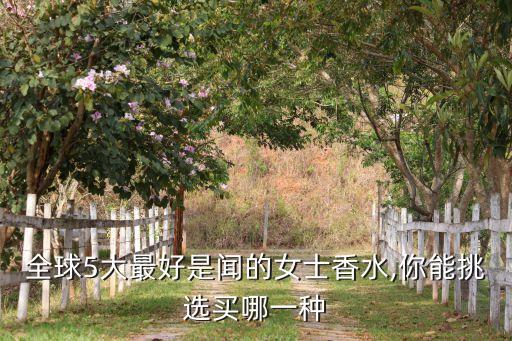 新红毒和老红毒哪个香