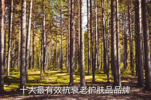 十大最有效抗衰老护肤品品牌