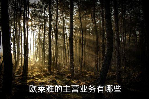  欧莱雅的主营业务有哪些