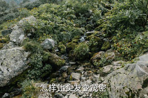 lush干发粉怎么用