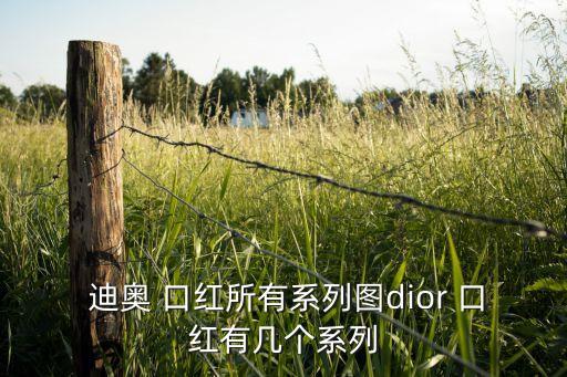  迪奥 口红所有系列图dior 口红有几个系列