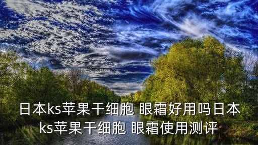 日本ks苹果干细胞 眼霜好用吗日本ks苹果干细胞 眼霜使用测评
