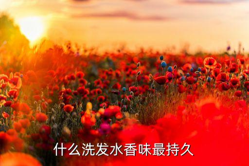 兰柠洗发水哪里有卖,兰彩依洗发水
