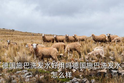 德国施巴洗发水好用吗德国施巴洗发水怎么样