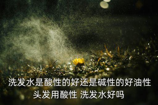  洗发水是酸性的好还是碱性的好油性头发用酸性 洗发水好吗