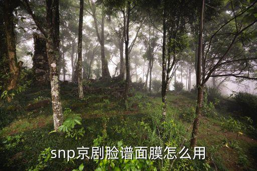 snp京剧脸谱面膜怎么用