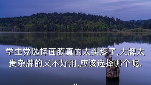 学生党选择面膜真的太头疼了,大牌太贵杂牌的又不好用,应该选择哪个呢...