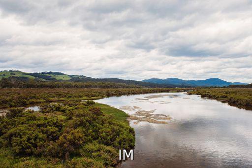 IM